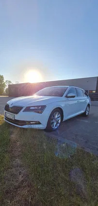 skoda Skoda Superb cena 83500 przebieg: 93000, rok produkcji 2017 z Ełk